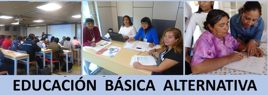 DISEÑO Y PROGRAMACIÓN CURRICULAR