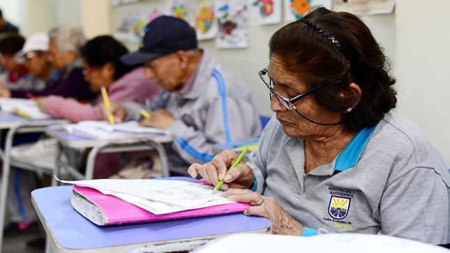 DIDÁCTICA EN LA EDUCACIÓN BÁSICA ALTERNATIVA