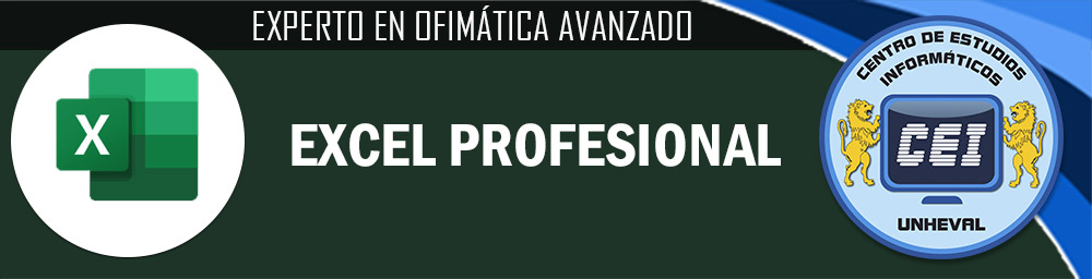 (02)-Excel Profesional-&gt;Angel Salas